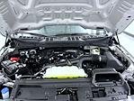 New 2026 Ford F-150 STX SuperCrew Cab for sale #T260697 - photo 24