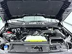 New 2026 Ford F-150 XLT SuperCrew Cab for sale #T260702 - photo 24
