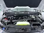 2026 Ford F-150 SuperCrew Cab 4WD Pickup for sale #T260713 - photo 24