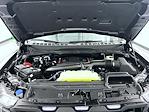 New 2026 Ford F-150 Raptor SuperCrew Cab for sale #T260714 - photo 24