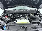 New 2026 Ford F-150 XLT SuperCrew Cab for sale #T260731 - photo 24