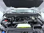 2026 Ford F-150 SuperCrew Cab 4WD Pickup for sale #T260761 - photo 26