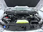 2026 Ford F-150 SuperCrew Cab 4WD Pickup for sale #T260762 - photo 25