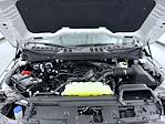 2026 Ford F-150 SuperCrew Cab 4WD Pickup for sale #T260789 - photo 24
