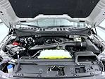 New 2026 Ford F-150 XLT SuperCrew Cab for sale #T260813 - photo 24