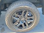 2024 Chevrolet Silverado 1500 Crew Cab 4WD Pickup for sale #25037 - photo 9
