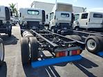 2024 Chevrolet LCF 5500XD Regular Cab RWD, Cab Chassis for sale #P4136 - photo 2