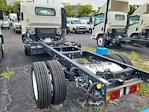 New 2024 Chevrolet LCF 5500XD Regular Cab Cab Chassis for sale #P4138 - photo 4