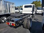 New 2024 Chevrolet LCF 5500XD Crew Cab Cab Chassis for sale #P4140 - photo 2
