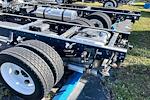 New 2024 Chevrolet LCF 5500XG Regular Cab Cab Chassis for sale #P4149 - photo 6
