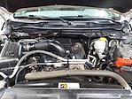 2017 Ram 1500 Regular Cab 4x4 Pickup for sale #MBUT10177 - photo 19