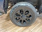 2022 Ram 2500 Crew Cab 4x4 Pickup for sale #S4592A - photo 31