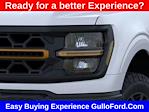 2025 Ford F-150 SuperCrew Cab 4x4 Pickup for sale #446TW4L - photo 18