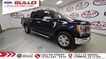 2022 Ford F-150 SuperCrew Cab 4x4 Pickup for sale #R11225 - photo 3