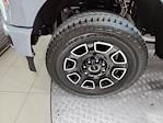 2025 Ford F-250 Crew Cab 4x4 Pickup for sale #S100381 - photo 18