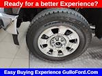 2025 Ford F-250 Crew Cab 4x4 Pickup for sale #S100432 - photo 19