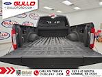 2017 Ford F-250 Crew Cab 4x4 Pickup for sale #S100444A - photo 10