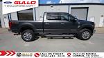 2017 Ford F-250 Crew Cab 4x4 Pickup for sale #S100444A - photo 9