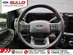2023 Ford F-250 Crew Cab 4x4 Pickup for sale #S100493A - photo 13