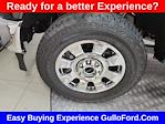 2025 Ford F-350 Crew Cab SRW 4x4 Pickup for sale #S100524 - photo 20