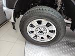 2025 Ford F-350 Crew Cab SRW 4x4 Pickup for sale #S100525 - photo 18