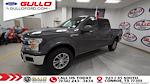 2020 Ford F-150 SuperCrew Cab 4x4 Pickup for sale #S100537A - photo 3