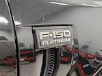 2025 Ford F-150 SuperCrew Cab 4x4 Pickup for sale #S100545 - photo 10