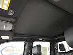 2025 Ford F-150 SuperCrew Cab 4x4 Pickup for sale #S100591 - photo 19