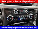 2025 Ford F-150 SuperCrew Cab 4x4 Pickup for sale #S100626 - photo 17