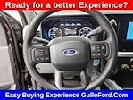 2025 Ford F-250 Crew Cab 4x4 Pickup for sale #S100629 - photo 13