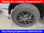 2025 Ford F-150 SuperCrew Cab 4x4 Pickup for sale #S100642 - photo 18