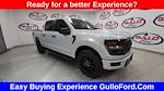 2025 Ford F-150 SuperCrew Cab 4x4 Pickup for sale #S100642 - photo 3