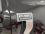 2025 Ford F-150 SuperCrew Cab 4x4 Pickup for sale #S100665 - photo 10