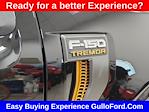 New 2025 Ford F-150 Tremor SuperCrew Cab 4x4 Pickup for sale #S100722 - photo 10
