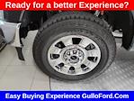 2025 Ford F-250 Crew Cab 4x4 Pickup for sale #S100796 - photo 19