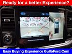 2025 Ford F-150 SuperCrew Cab 4x2 Pickup for sale #S100803 - photo 15