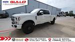 2022 Ford F-250 Crew Cab 4x4 Pickup for sale #S100822A - photo 3