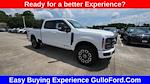 New 2025 Ford F-250 Platinum Crew Cab 4x4 Pickup for sale #S100908 - photo 3