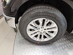 New 2025 Ford F-150 XLT SuperCrew Cab Pickup for sale #S100943 - photo 18