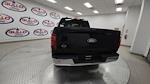 New 2025 Ford F-150 XLT SuperCrew Cab Pickup for sale #S100943 - photo 8