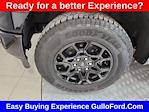 2025 Ford F-150 SuperCrew Cab 4x4 Pickup for sale #S100969 - photo 18
