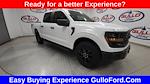 2025 Ford F-150 SuperCrew Cab 4x4 Pickup for sale #S100979 - photo 3