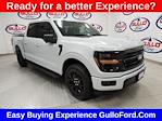 New 2025 Ford F-150 XLT SuperCrew Cab Pickup for sale #S101040 - photo 1