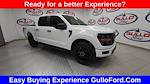 2025 Ford F-150 SuperCrew Cab 4x4 Pickup for sale #S101044 - photo 3