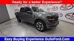 New 2025 Ford F-150 STX SuperCrew Cab Pickup for sale #S101064 - photo 3