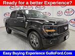 New 2025 Ford F-150 STX SuperCrew Cab Pickup for sale #S101079 - photo 1