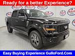 New 2025 Ford F-150 STX SuperCrew Cab 4x4 Pickup for sale #S101091 - photo 1
