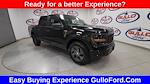 New 2025 Ford F-150 STX SuperCrew Cab Pickup for sale #S101132 - photo 3
