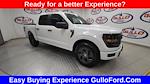 New 2025 Ford F-150 STX SuperCrew Cab Pickup for sale #S101183 - photo 3