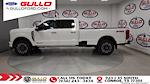 2024 Ford F-350 Crew Cab SRW 4WD Pickup for sale #S101213B - photo 6